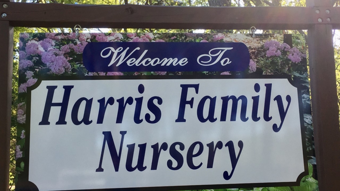 Walton County Plant Nursery Monroe Garden Center Monroe Gardening